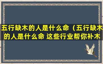 五行缺木的人是什么命（五行缺木的人是什么命 这些行业帮你补木）